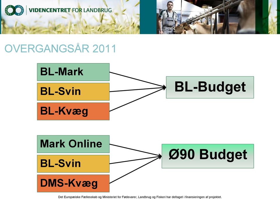 BL-Budget BL-Kvæg Mark