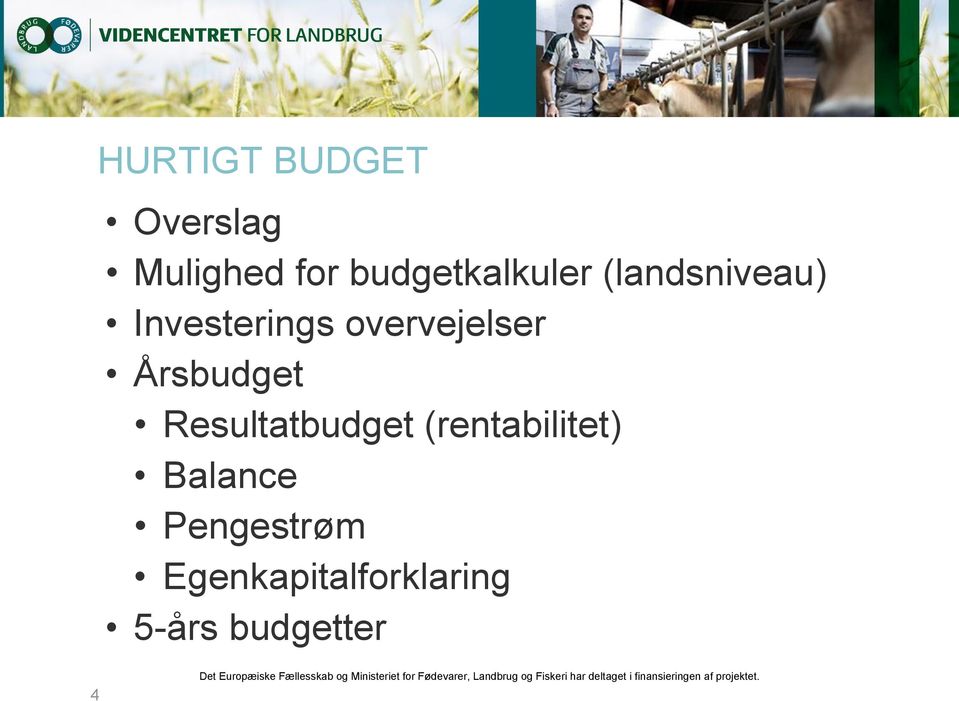 overvejelser Årsbudget Resultatbudget