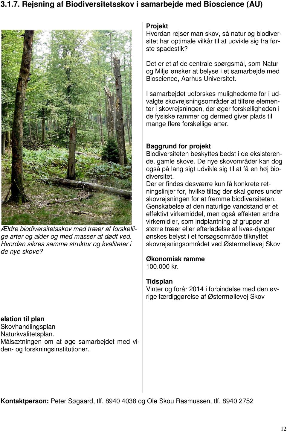 I samarbejdet udforskes mulighederne for i udvalgte skovrejsningsområder at tilføre elementer i skovrejsningen, der øger forskelligheden i de fysiske rammer og dermed giver plads til mange flere