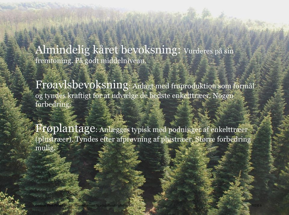 enkelttræer. Nogen forbedring. Frøplantage: Anlægges typisk med podninger af enkelttræer (plustræer).