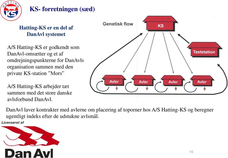 Mors A/S Hatting-KS arbejder tæt sammen med det store danske avlsforbund DanAvl.