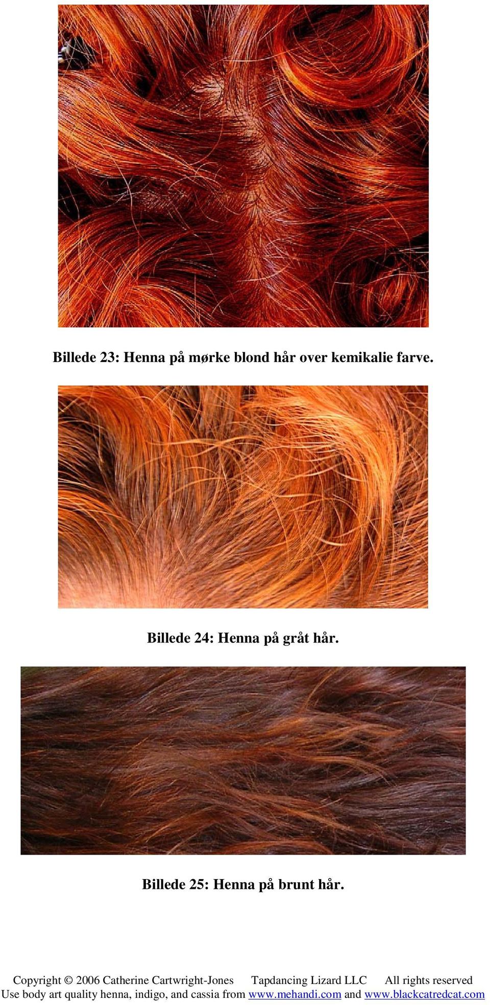 Henna for Hair How-To Henna Copyright 2006 Catherine Cartwright-Jones  Forside af Alex Morgan - PDF Gratis download