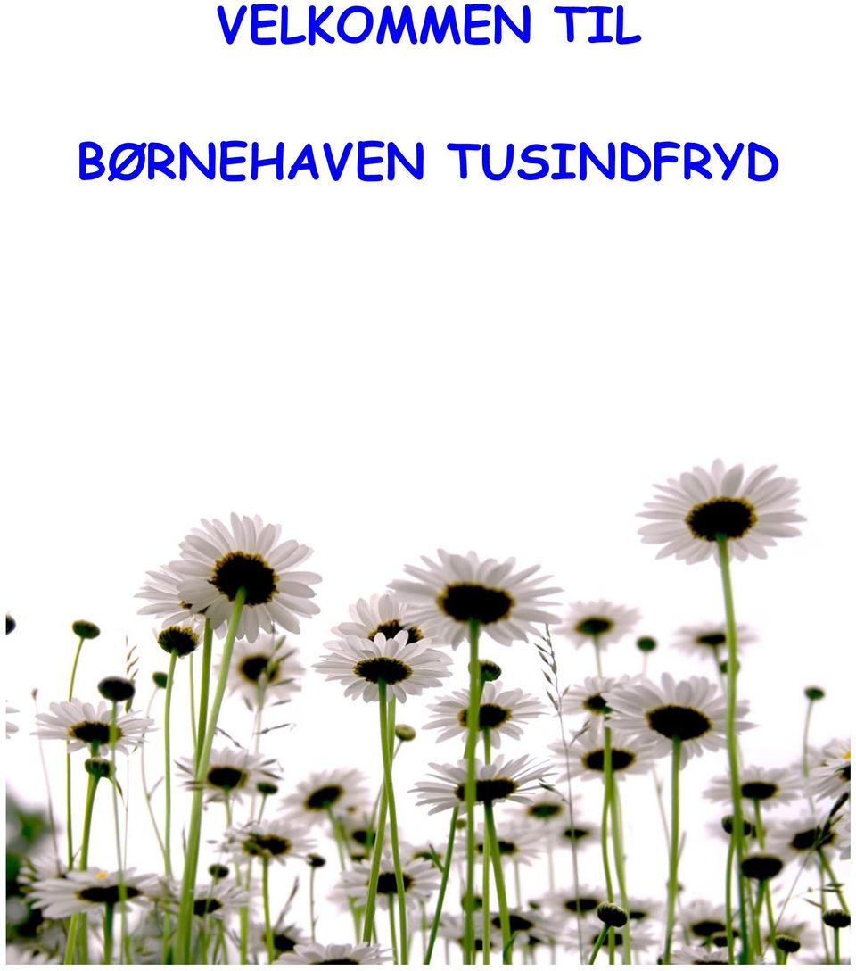 VELKOMMEN TIL BØRNEHAVEN TUSINDFRYD - PDF Free Download