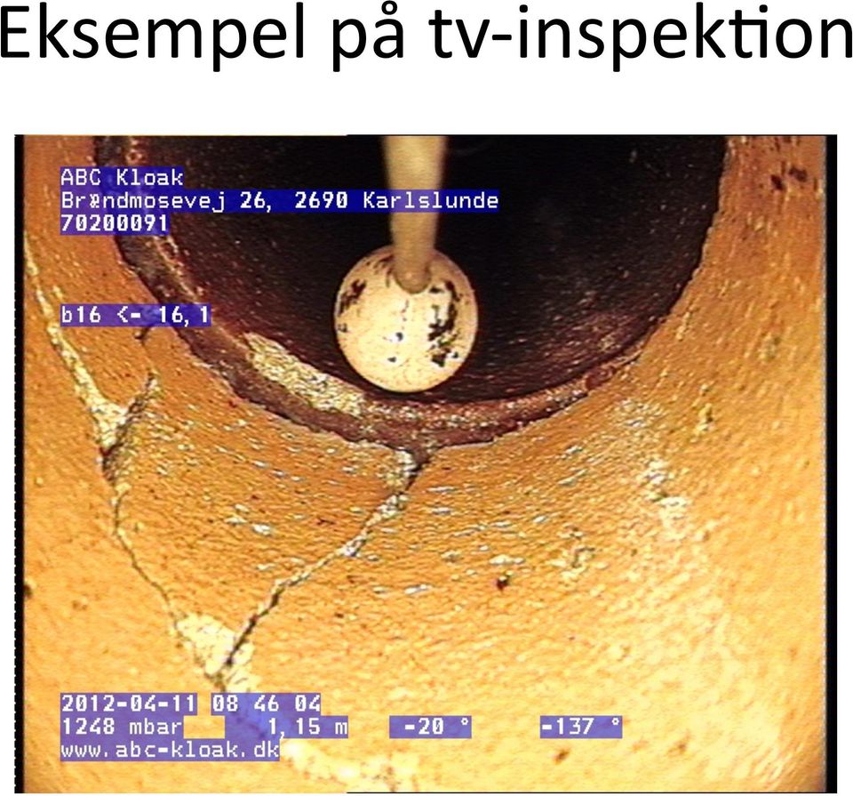 inspekoon