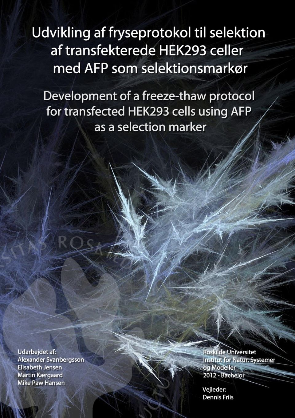 Udvikling af fryseprotokol til selektion af HEK293 celler som selektionsmarkør - PDF Gratis download