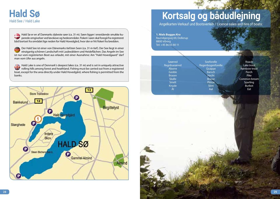 Lystfiskeri. på Viborg-egnen Angeln / Angling - PDF Free Download