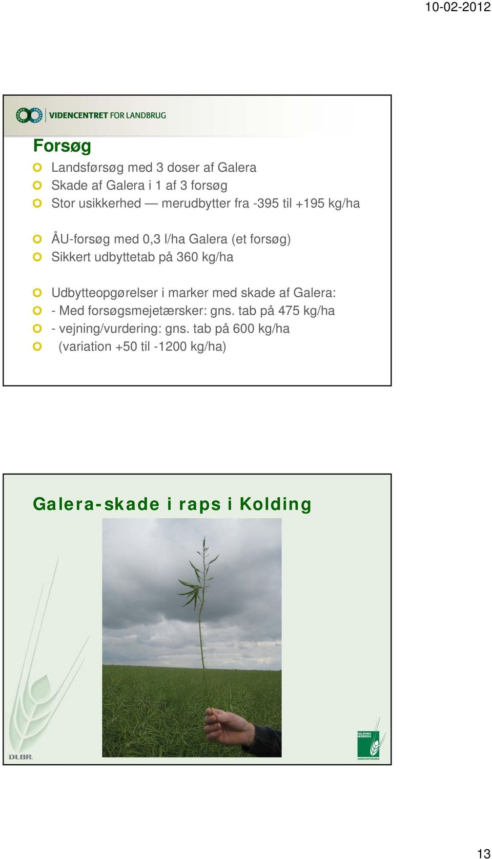 Udbytteopgørelser i marker med skade af Galera: - Med forsøgsmejetærsker: gns.