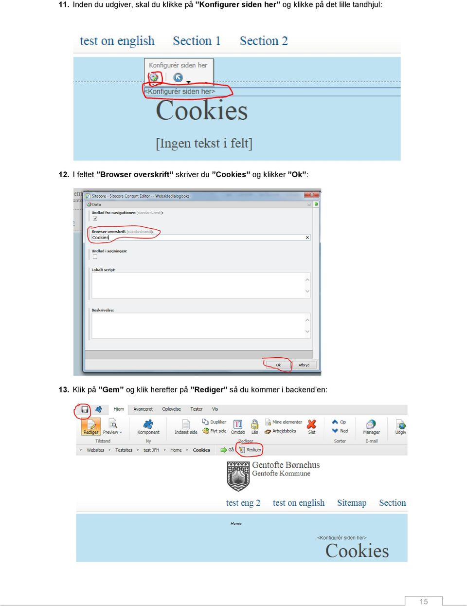 I feltet Browser overskrift skriver du Cookies og klikker