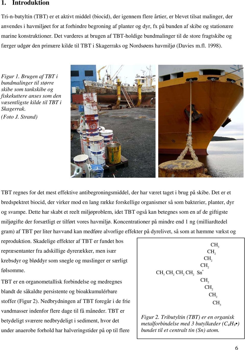 Det vurderes at brugen af TBT-holdige bundmalinger til de store fragtskibe og færger udgør den primære kilde til TBT i Skagerraks og Nordsøens havmiljø (Davies m.fl. 1998). Figur 1.