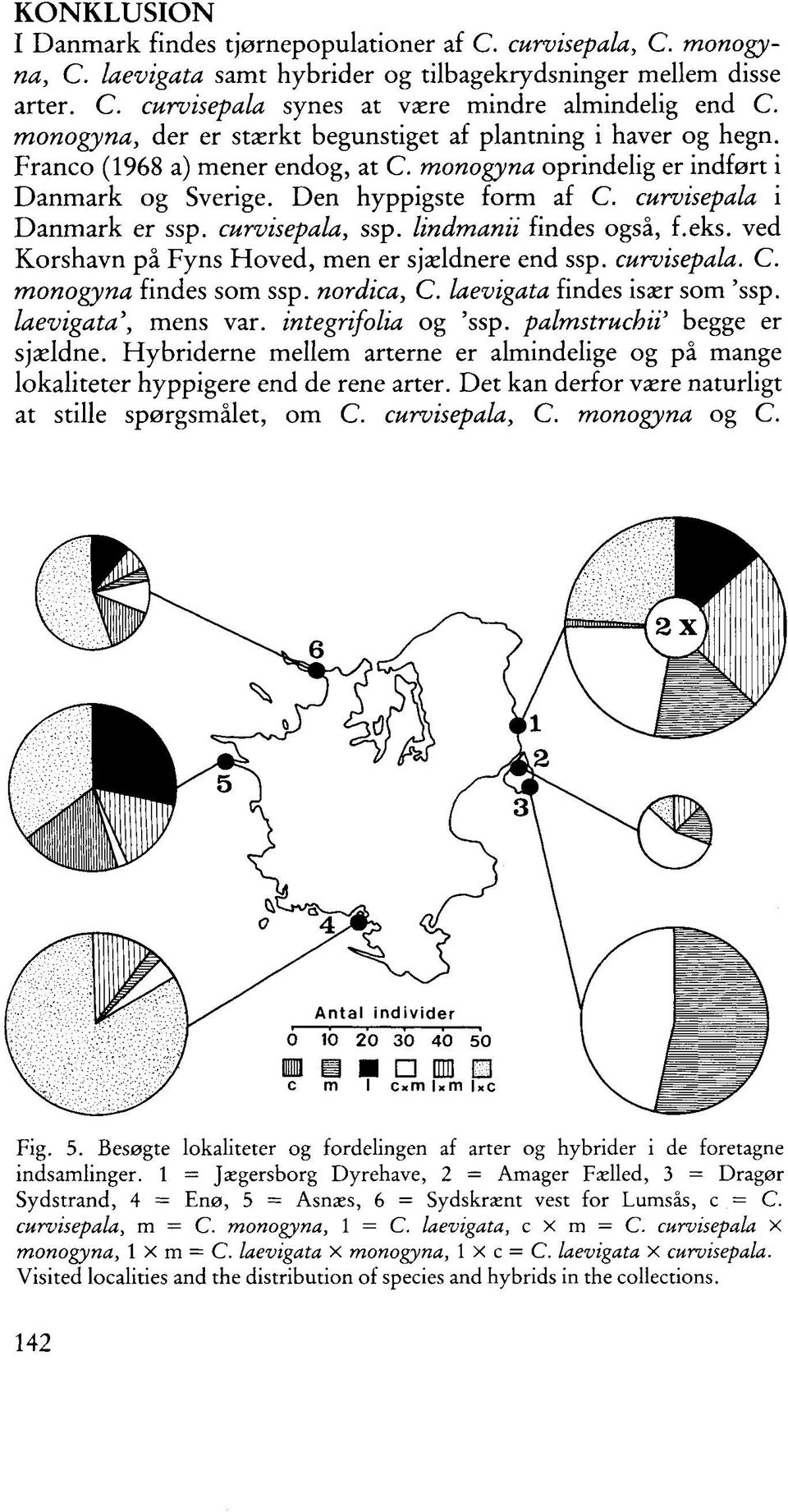 curvisepala i Danmark er ssp. curvisepala, ssp. lindmanii findes også, f.eks. ved Korshavn på Fyns Hoved, men er sjældnere end ssp. curvisepala. C. monogyna findes som ssp. nordica, C.