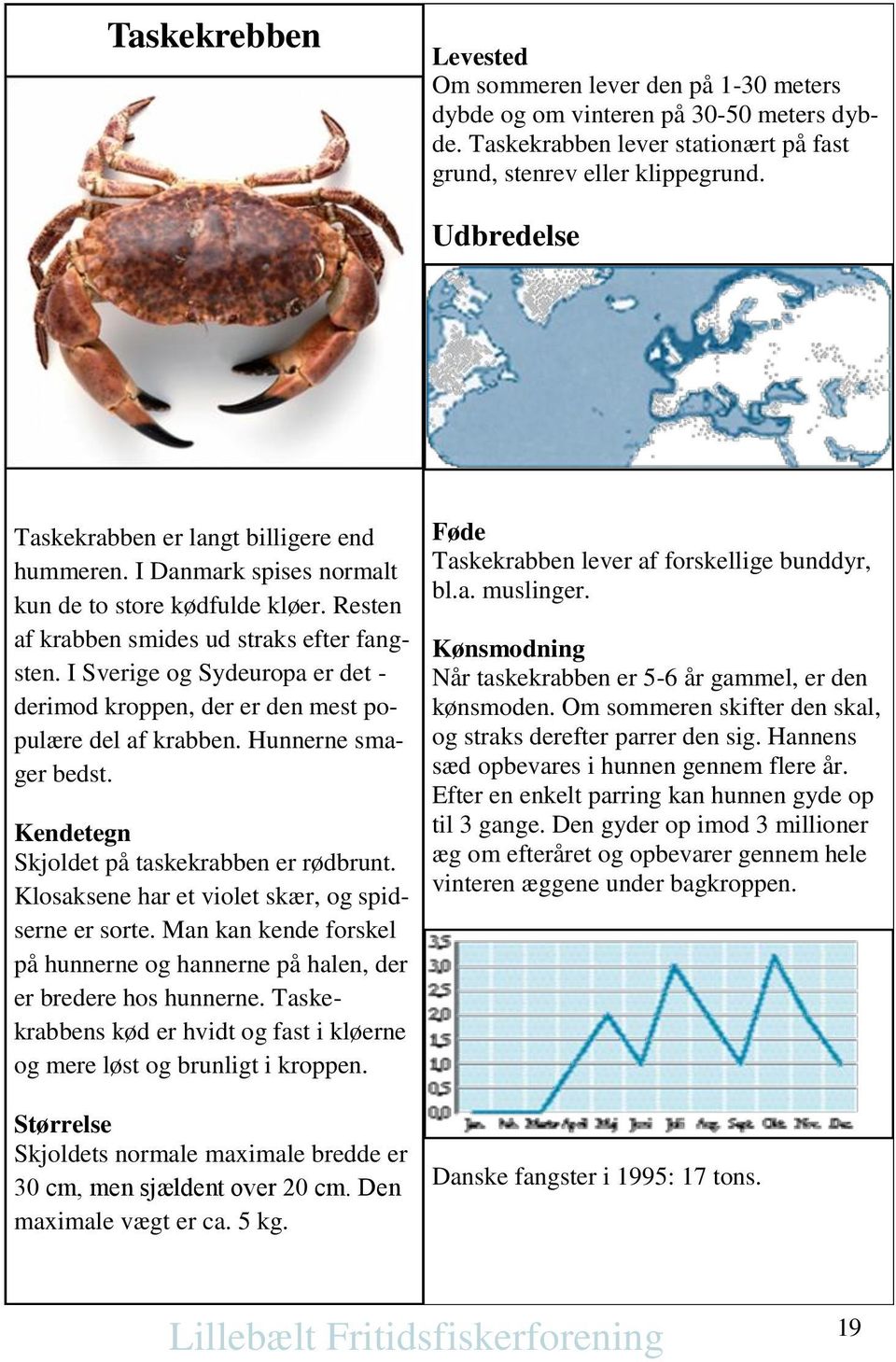 I Sverige og Sydeuropa er det - derimod kroppen, der er den mest populære del af krabben. Hunnerne smager bedst. Kendetegn Skjoldet på taskekrabben er rødbrunt.
