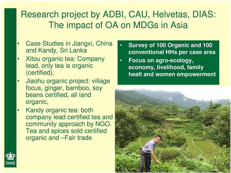 land organic, Kandy organic tea: both company lead certified tea and community approach by NGO.