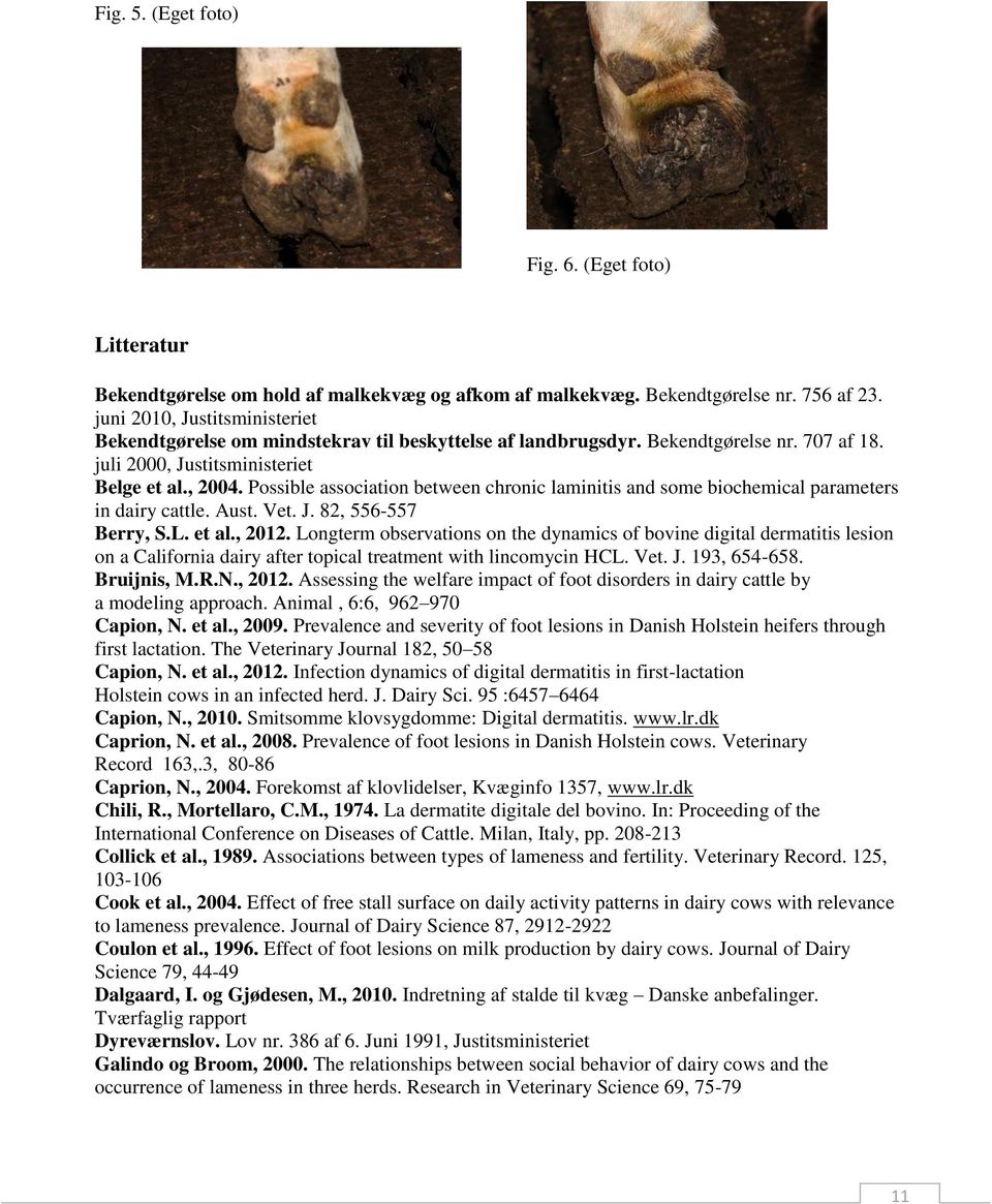 Possible association between chronic laminitis and some biochemical parameters in dairy cattle. Aust. Vet. J. 82, 556-557 Berry, S.L. et al., 2012.