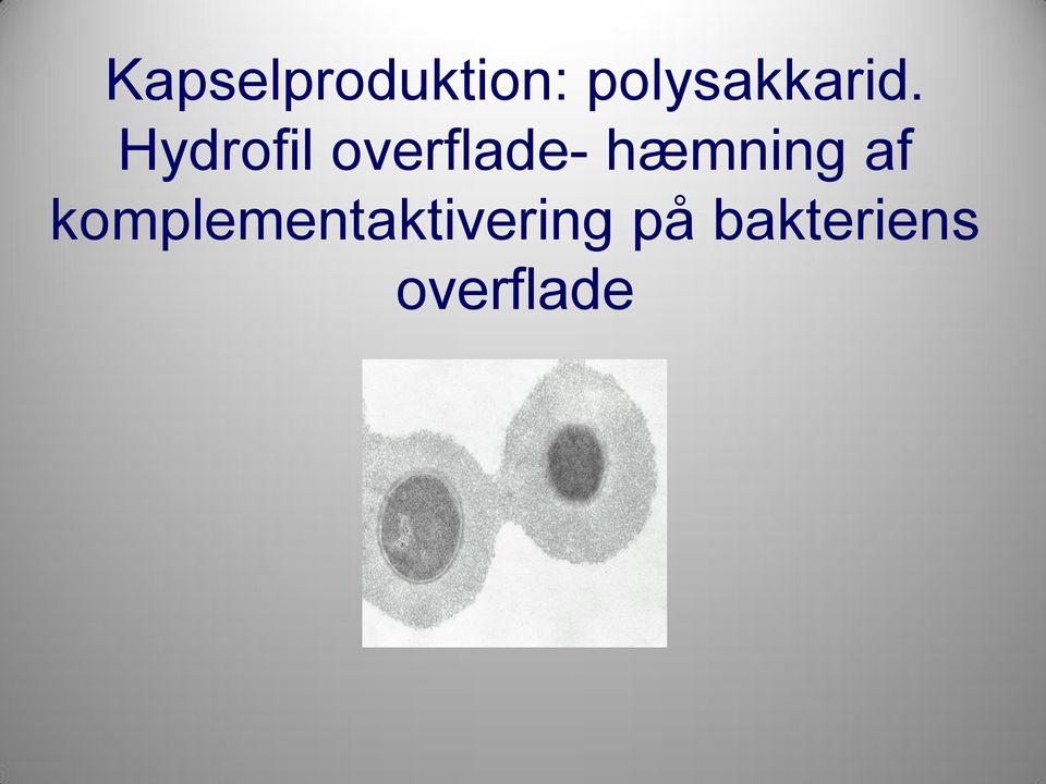 Hydrofil overflade-