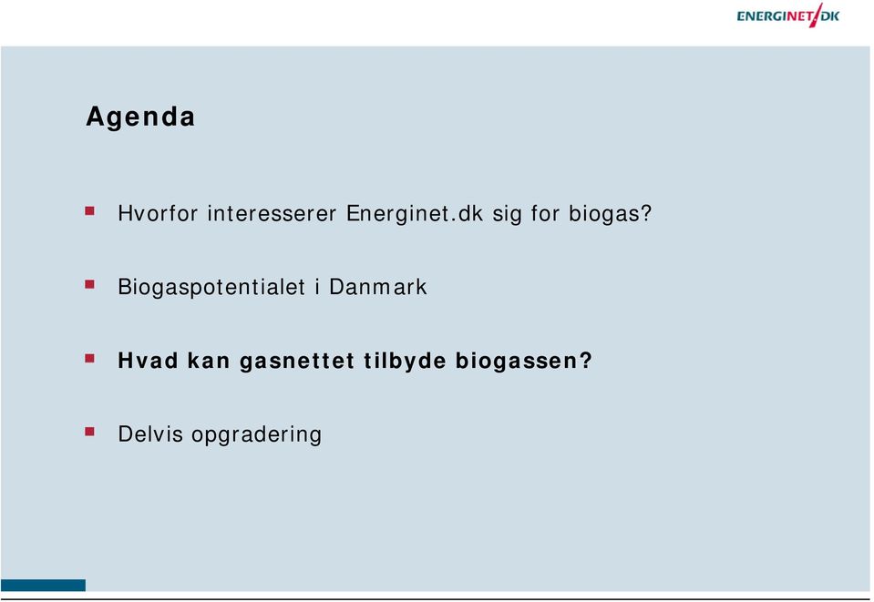 Biogaspotentialet i Danmark Hvad
