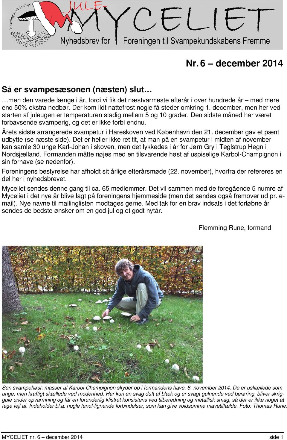 Den sidste måned har været forbavsende svamperig, og det er ikke forbi endnu. Årets sidste arrangerede svampetur i Hareskoven ved København den 21. december gav et pænt udbytte (se næste side).