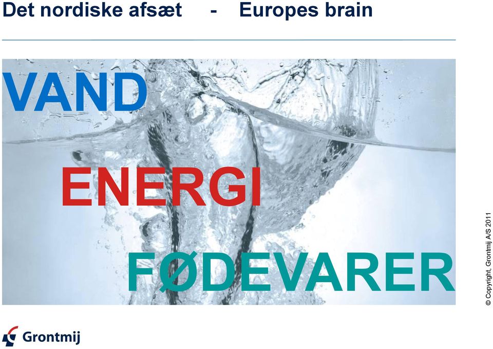 Europes brain