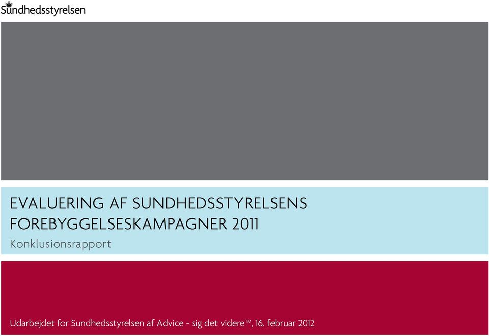 evaluering af SundhedSSTyrelsens Konklusionsrapport - PDF Free Download