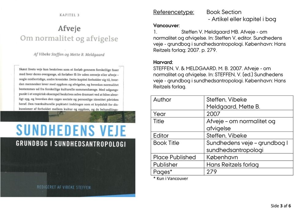 In: STEFFEN, V. (ed.) Sundhedens veje - grundbog i sundhedsantropologi. København: Hans Reitzels forlag. Steffen, Vibeke Meldgaard, Mette B.