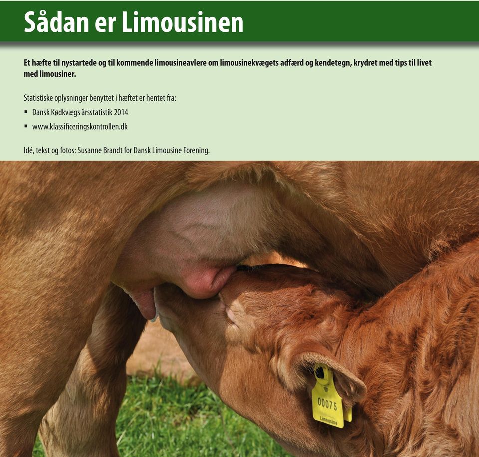Statistiske oplysninger benyttet i hæftet er hentet fra: Dansk Kødkvægs årsstatistik
