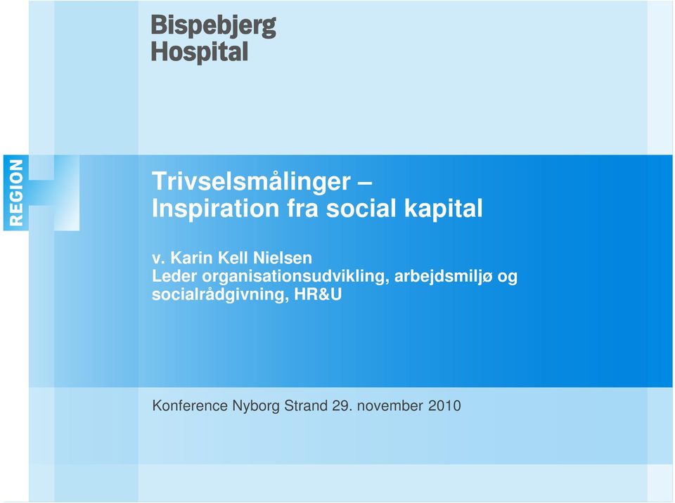 Karin Kell Nielsen Leder