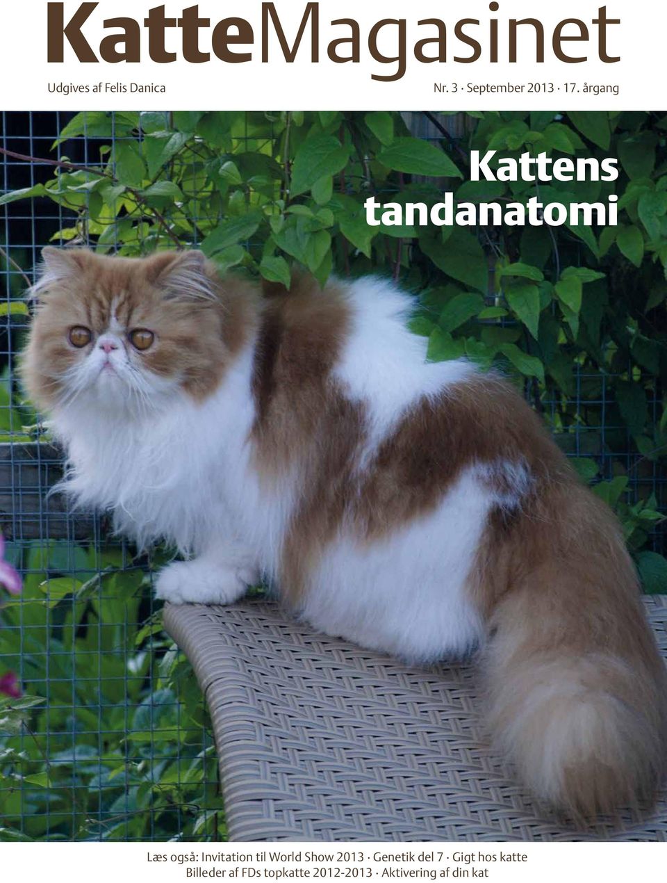 KatteMagasinet Udgives Danica - PDF Free Download