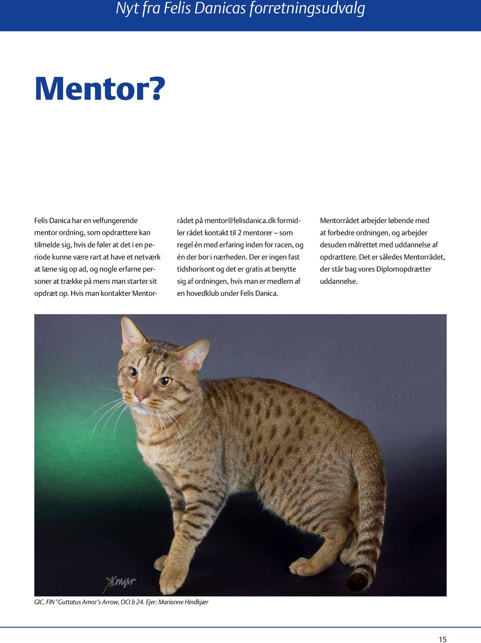 KatteMagasinet Udgives af Felis Danica - PDF Free Download