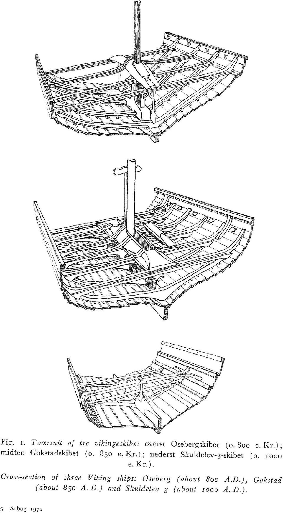 1000 e.kr.). Cross-section of three Viking ships: Oseberg (about 800 A.D.
