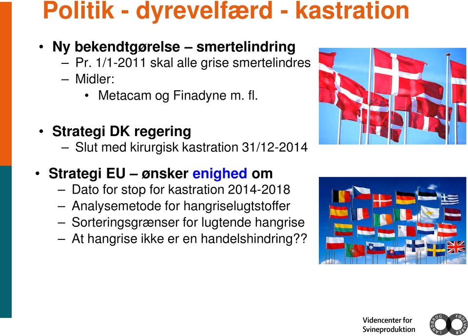 Strategi DK regering Slut med kirurgisk kastration 31/12-2014 Strategi EU ønsker enighed om Dato