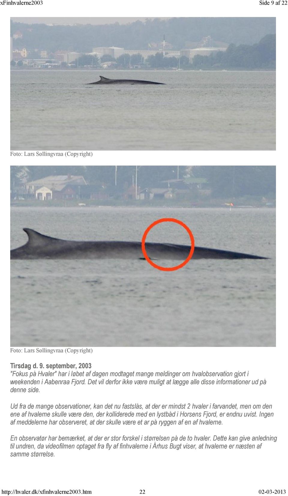 Ud fra de mange observationer, kan det nu fastslås, at der er mindst 2 hvaler i farvandet, men om den ene af hvalerne skulle være den, der kolliderede med en lystbåd i Horsens Fjord, er endnu uvist.