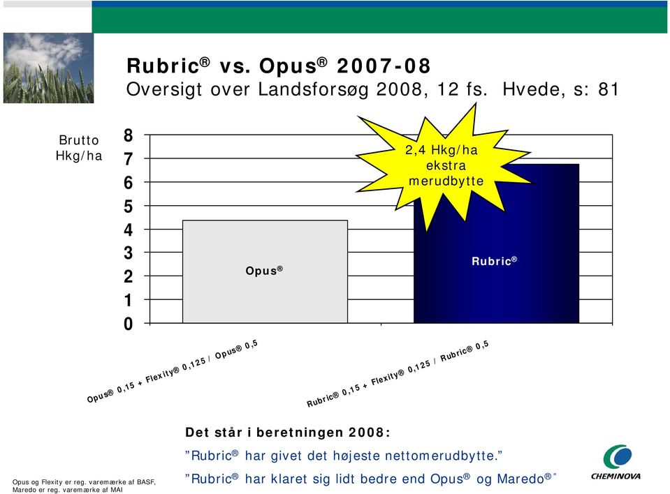 Rubric Det står i beretningen 2008: Rubric 0,15 + Flexity 0,125 / Rubric 0,5 Rubric har givet det højeste
