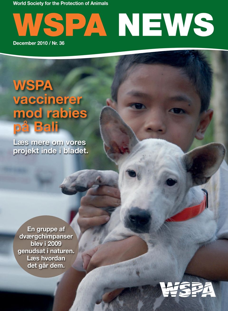 36 WSPA vaccinerer mod rabies på Bali Læs mere om vores