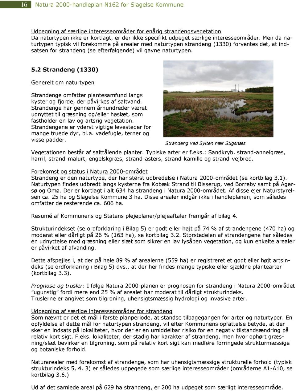 2 Strandeng (1330) Generelt om naturtypen Strandenge omfatter plantesamfund langs kyster og fjorde, der påvirkes af saltvand.
