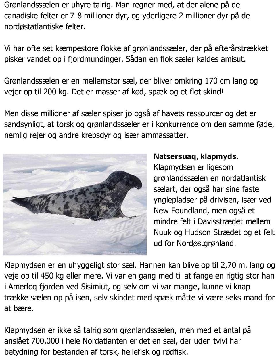 Grønlandssælen er en mellemstor sæl, der bliver omkring 170 cm lang og vejer op til 200 kg. Det er masser af kød, spæk og et flot skind!