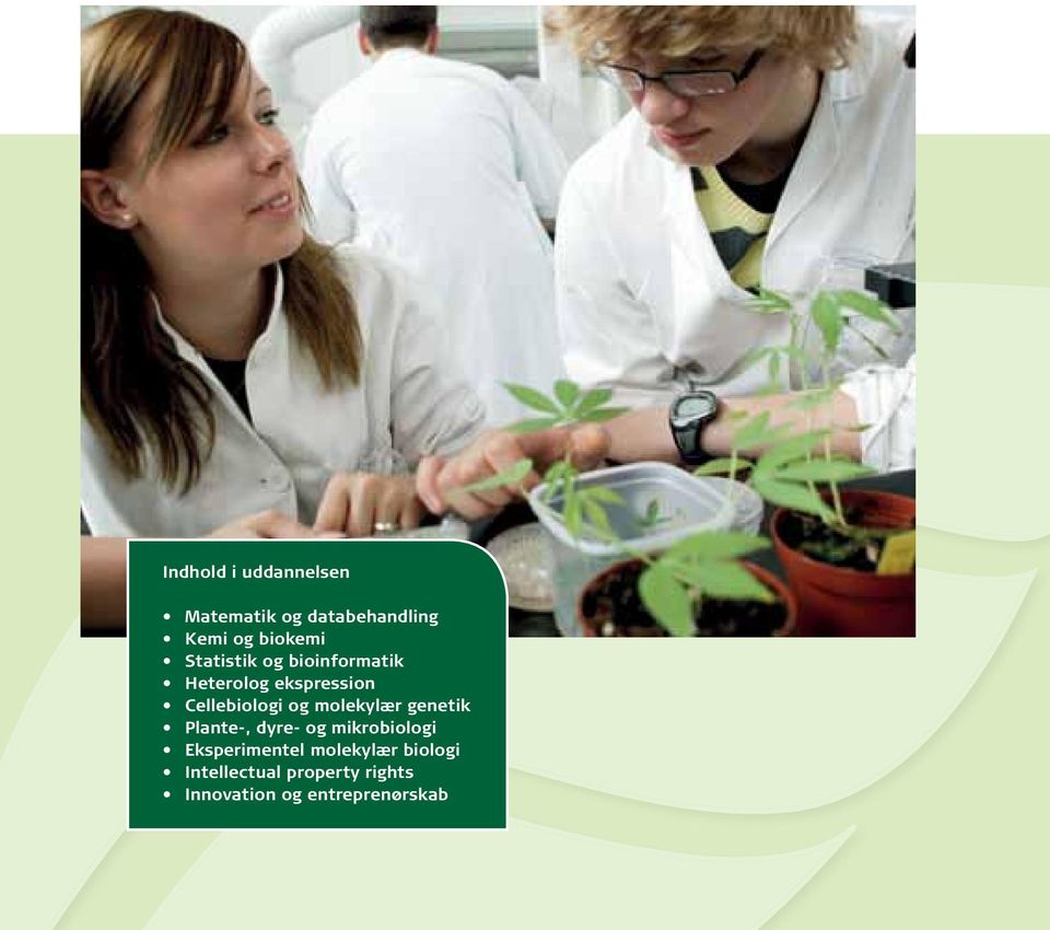 molekylær genetik Plante-, dyre- og mikrobiologi Eksperimentel