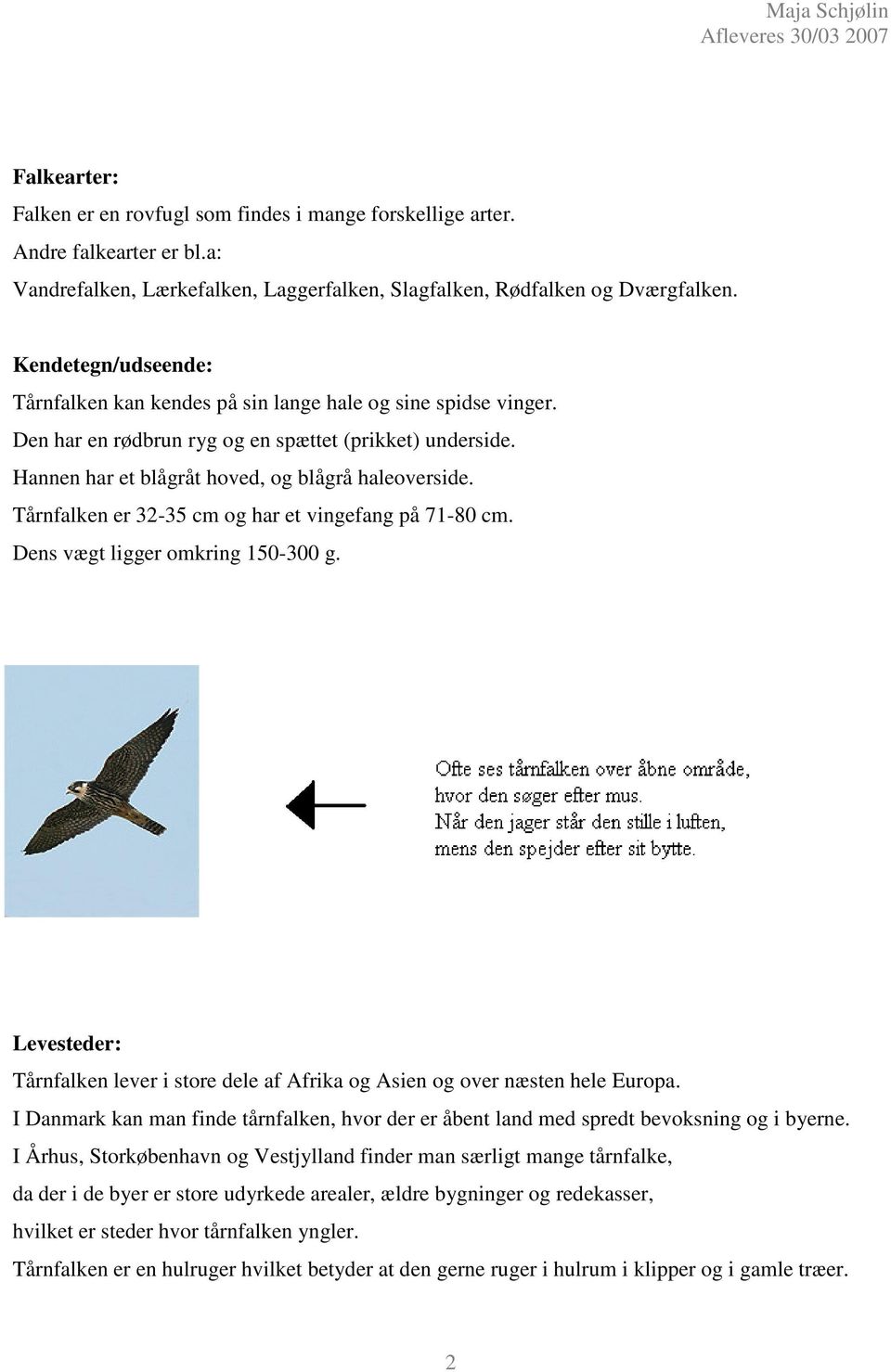 Tårnfalken er 32-35 cm og har et vingefang på 71-80 cm. Dens vægt ligger omkring 150-300 g. Levesteder: Tårnfalken lever i store dele af Afrika og Asien og over næsten hele Europa.