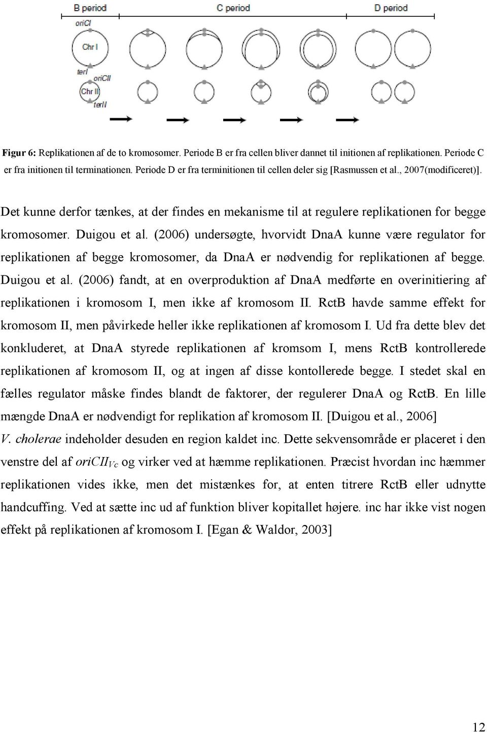 Duigou et al. (2006) undersøgte, hvorvidt DnaA kunne være regulator for replikationen af begge kromosomer, da DnaA er nødvendig for replikationen af begge. Duigou et al.