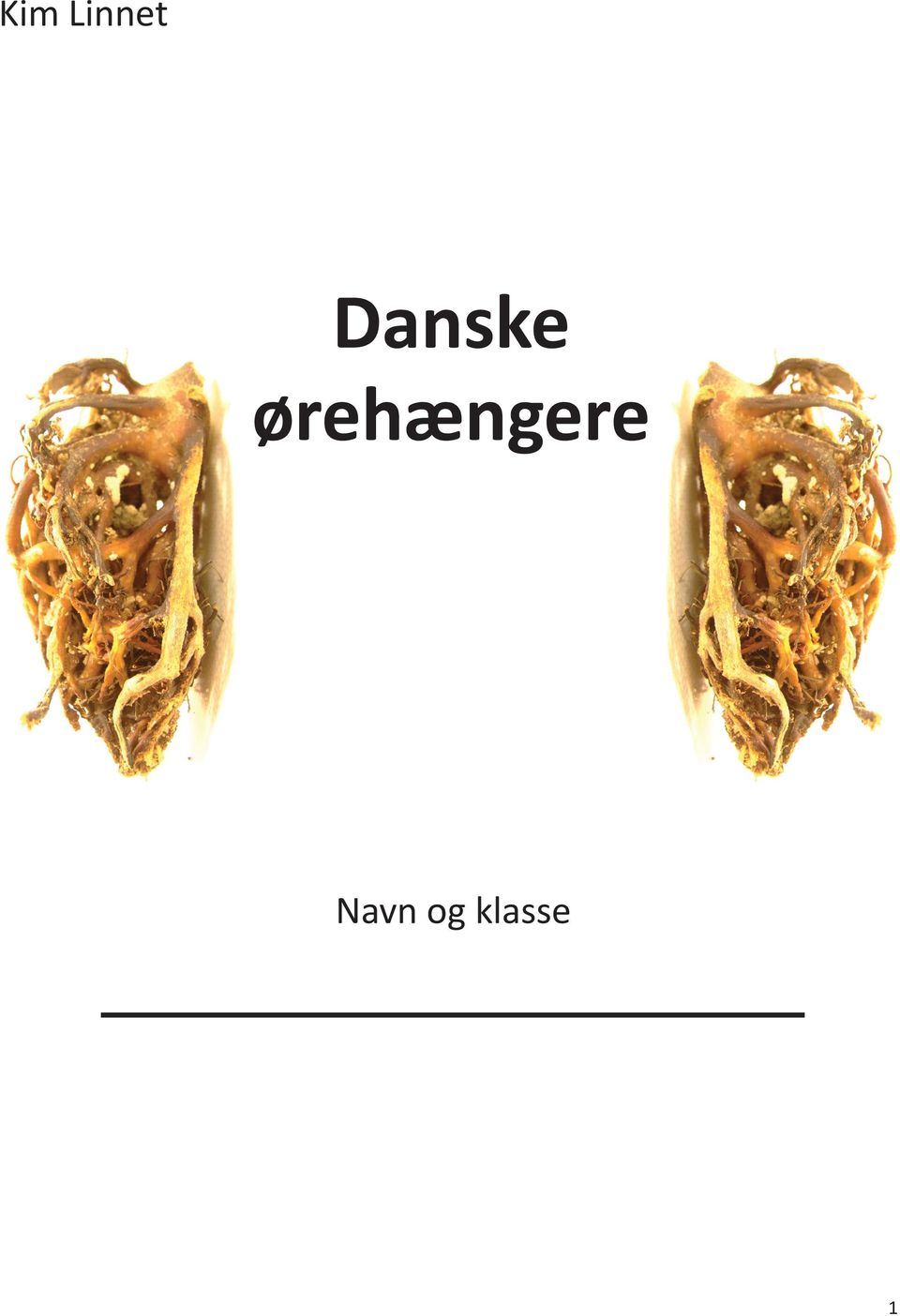 Kim Linnet. Danske ørehængere. Navn og klasse - PDF Free Download