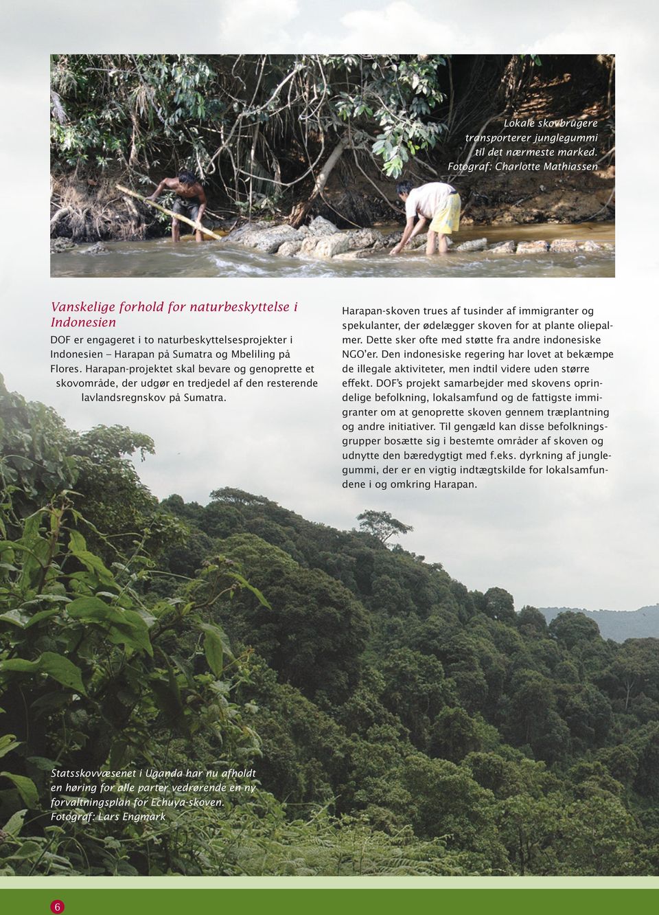 Harapan-projektet skal bevare og genoprette et skovområde, der udgør en tredjedel af den resterende lavlandsregnskov på Sumatra.