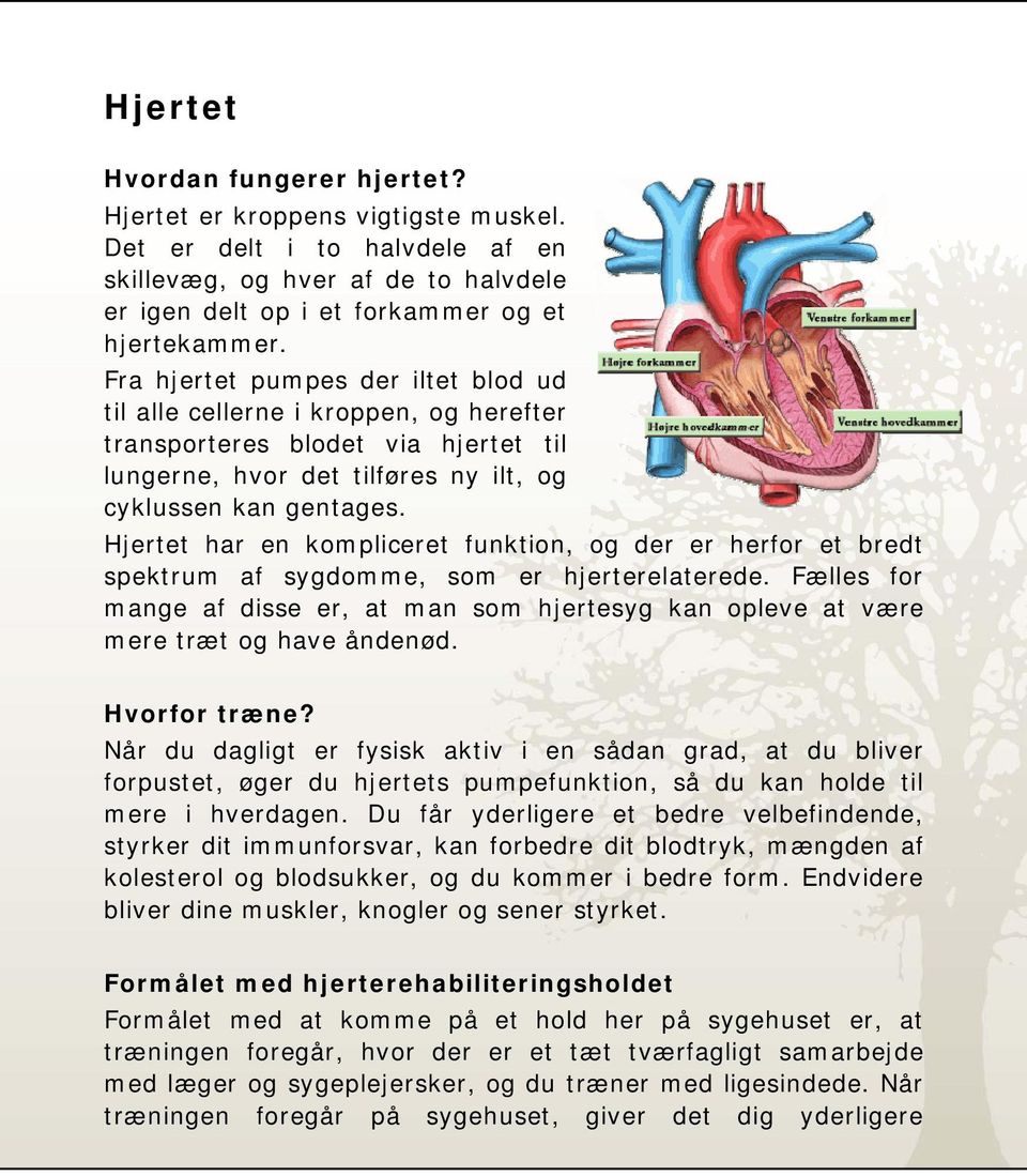 Hjertet har en kompliceret funktion, og der er herfor et bredt spektrum af sygdomme, som er hjerterelaterede.