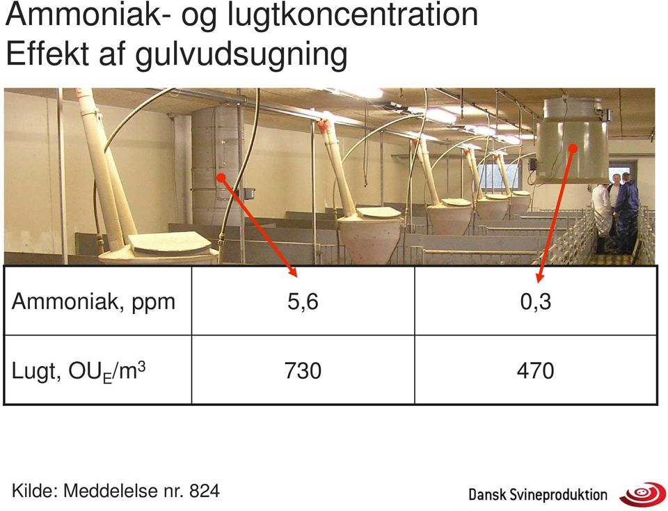 Ammoniak, ppm 5,6 0,3 Lugt, OU