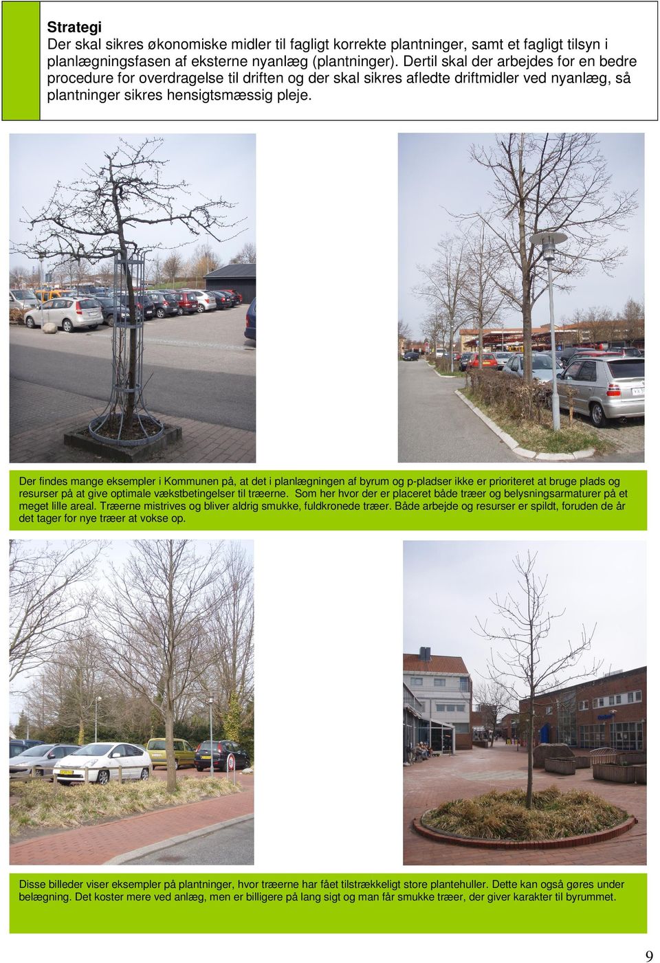 Der findes mange eksempler i Kommunen på, at det i planlægningen af byrum og p-pladser ikke er prioriteret at bruge plads og resurser på at give optimale vækstbetingelser til træerne.