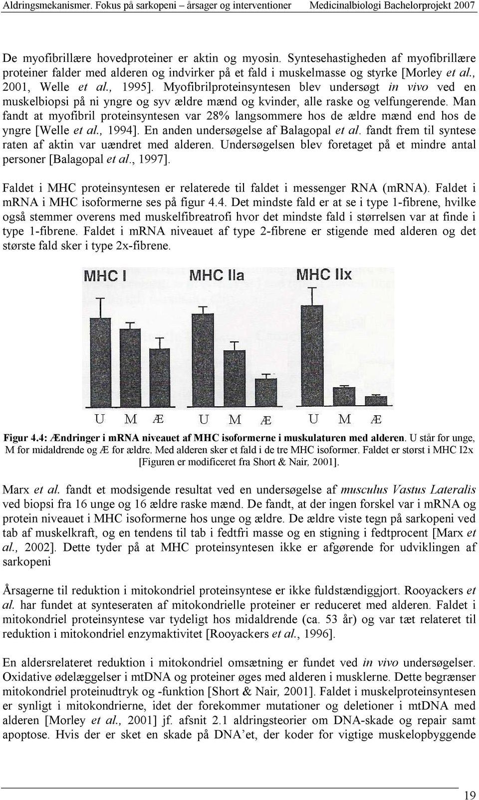 Man fandt at myofibril proteinsyntesen var 28% langsommere hos de ældre mænd end hos de yngre [Welle et al., 1994]. En anden undersøgelse af Balagopal et al.