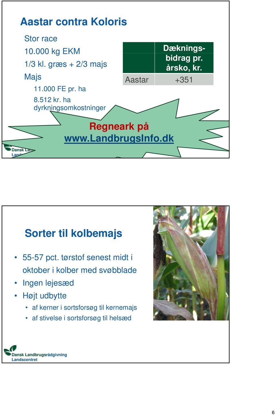 landbrugsinfo.dk Sorter til kolbemajs 55-57 pct.