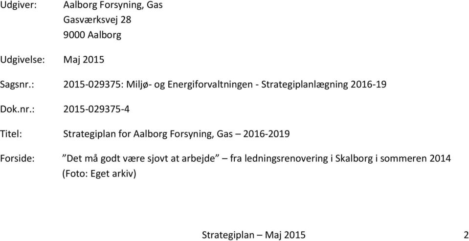 : 2015-029375-4 Titel: Strategiplan for Aalborg Forsyning, Gas 2016-2019 Forside: Det må godt