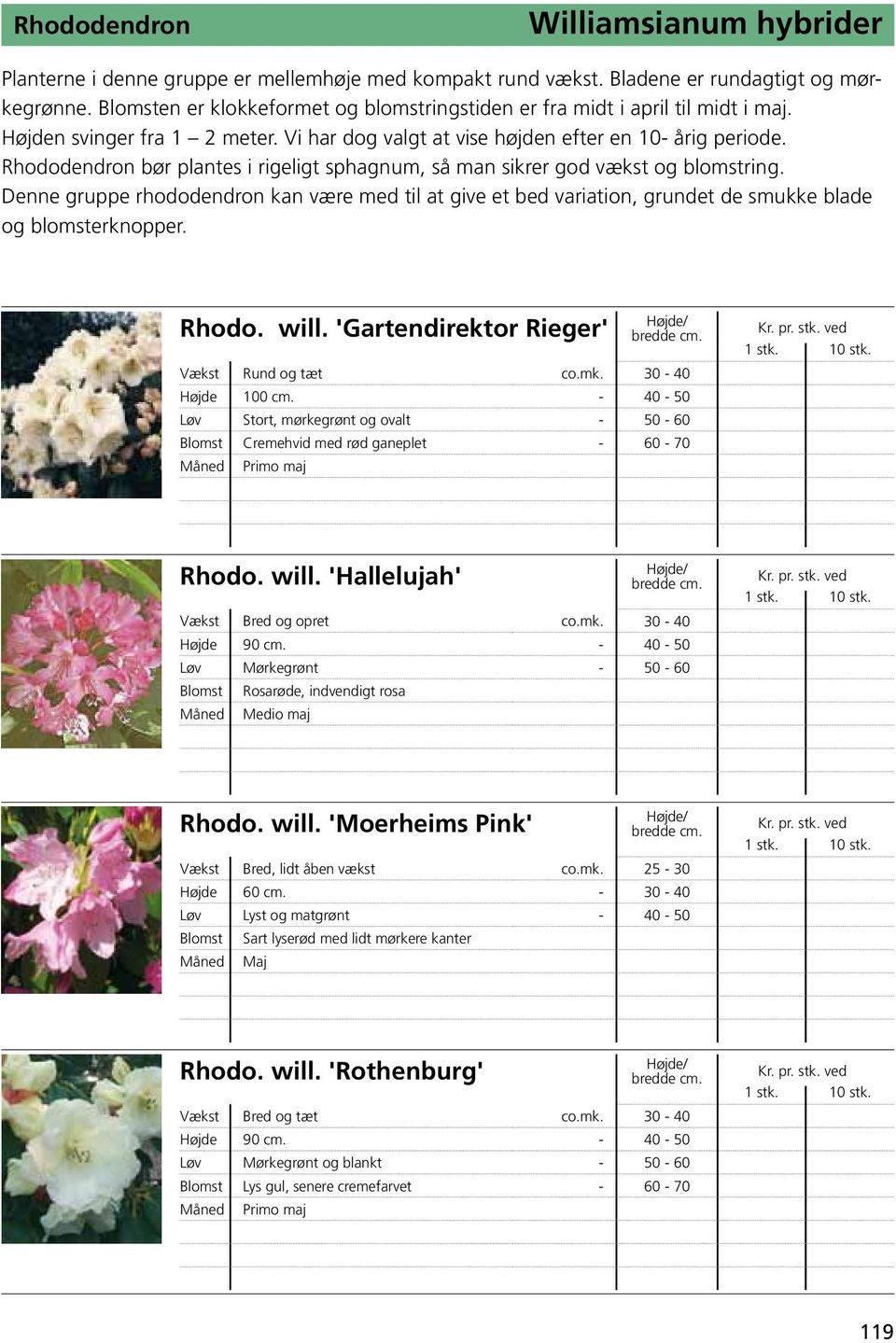 Rhododendron bør plantes i rigeligt sphagnum, så man sikrer god vækst og blomstring. Denne gruppe rhododendron kan være med til at give et bed variation, grundet de smukke blade og blomsterknopper.