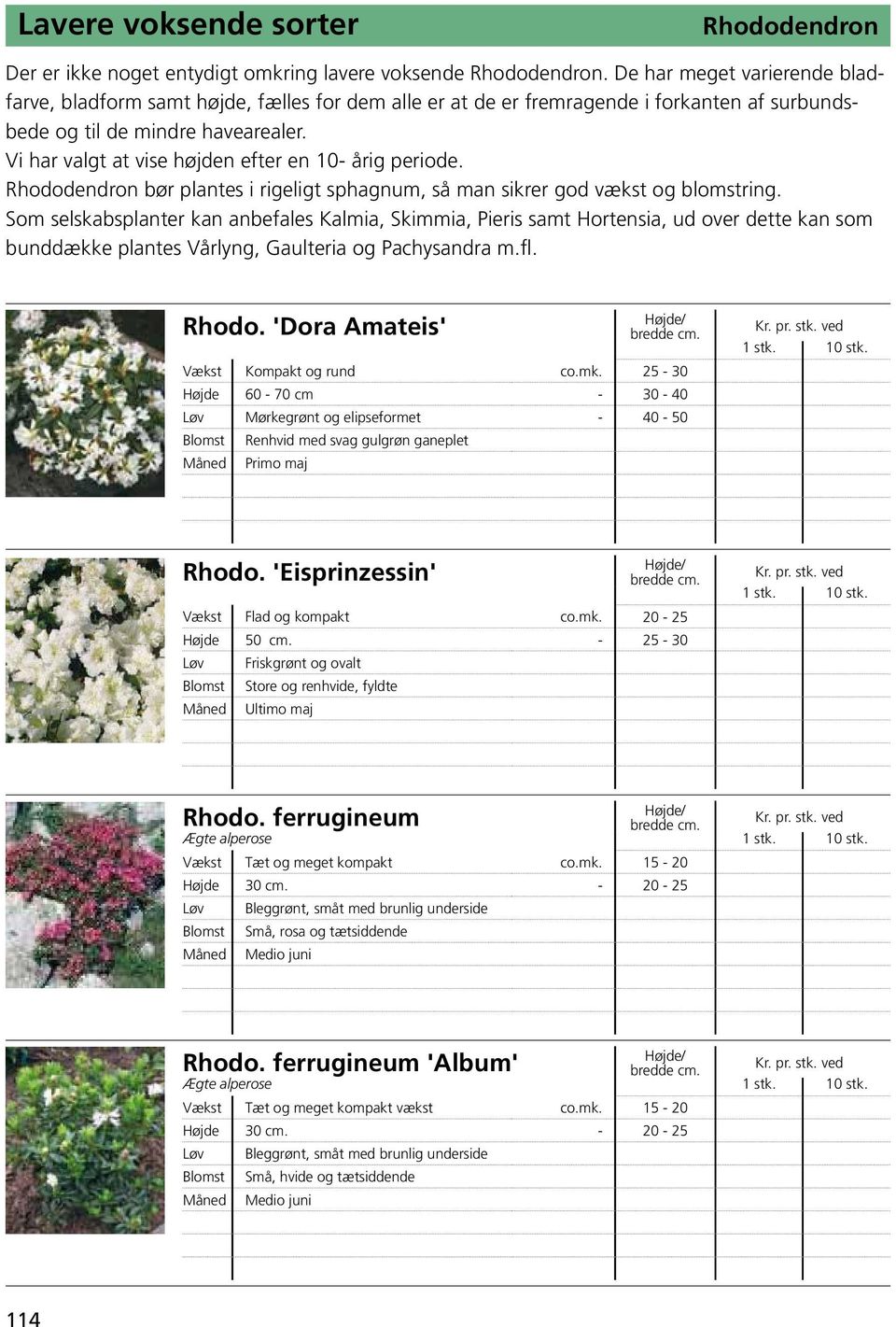 Vi har valgt at vise højden efter en 10- årig periode. Rhododendron bør plantes i rigeligt sphagnum, så man sikrer god vækst og blomstring.