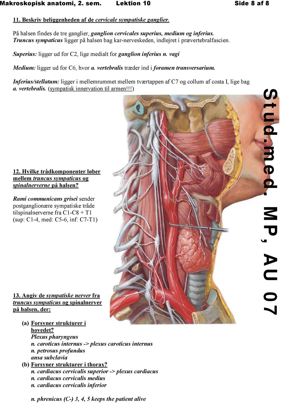 vertebralis træder ind i foramen transversarium. Inferius/stellatum: ligger i mellemrummet mellem tværtappen af C7 og collum af costa I, lige bag a. vertebralis. (sympatisk innervation til armen!!!) 12.