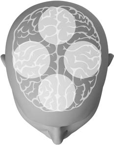Vi kalder det BrainHearing. Lær mere på www.oticon.dk Rebalancering af lydene, så de bliver mere distinkte og nemmere at genkende. Dette frigiver kapacitet i hjernen til at lagre og huske information.