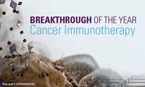 Immunterapi nyt fokus i cancerforskning RhoVac udvikler et immunterapeutisk lægemiddel, en ny behandling av metastaserende cancer Anvender kroppens eget naturlige